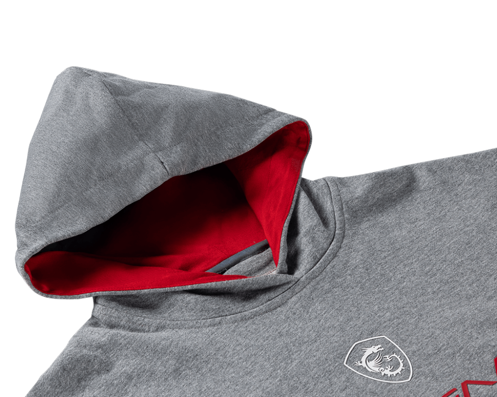 Sweat à capuche True Gamer en coton - Boutique en ligne officielle de MSI France