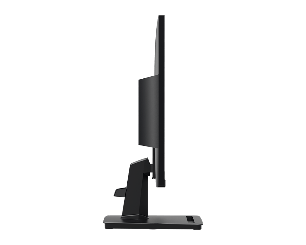 Pack de 2 Écrans PC bureautique | PRO MP251