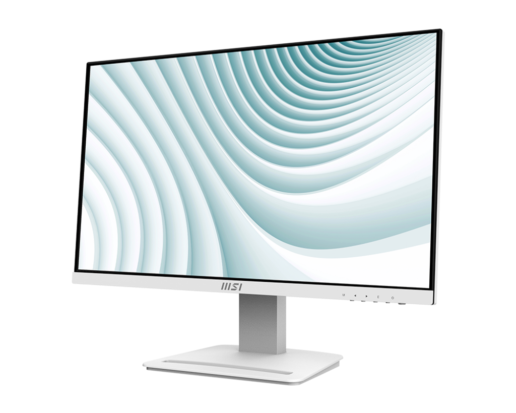 Pack de 2 Écrans Gamer | PRO MP243XW