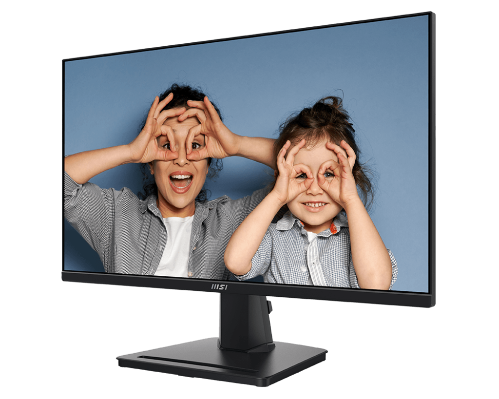 Pack de 2 Écrans PC bureautique | PRO MP251