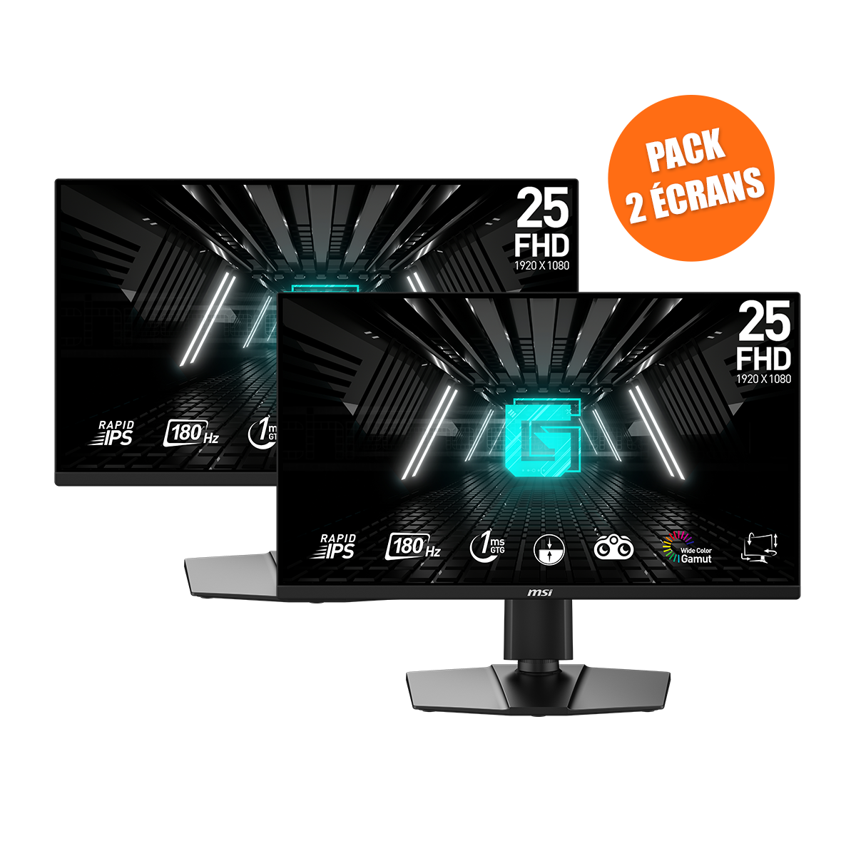 Pack de 2 Écrans Gamer | G255PF E2 - Boutique en ligne officielle de MSI France