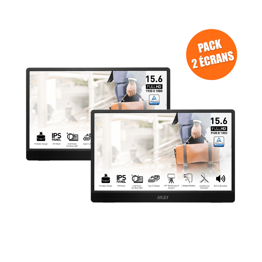 Pack de 2 Écrans PC bureautique | PRO MP161 E2