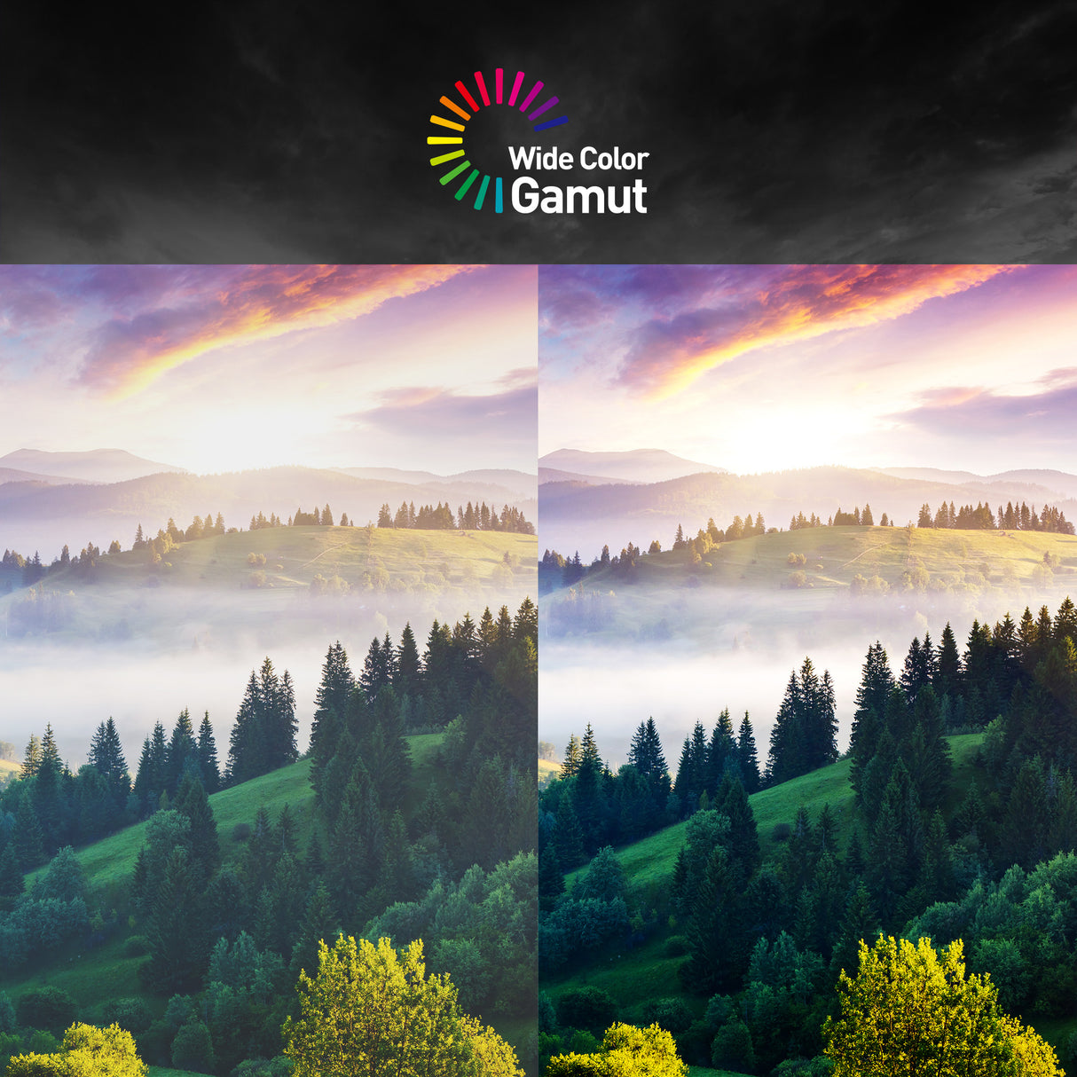 Pack de 2 Écrans Gamer | G32C4X