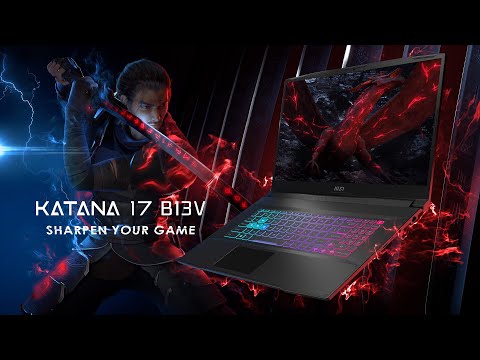 PC portable gamer Katana 17 B13VEK-1047XFR