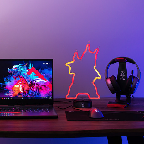 Lampe NEON USB LUCKY - Boutique en ligne officielle de MSI France